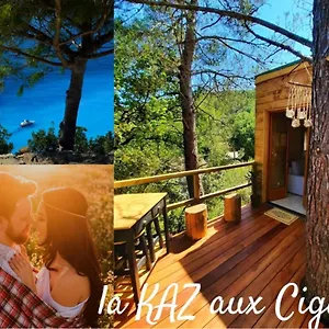 Dans Les Arbres La Kaz Aux Cigales France